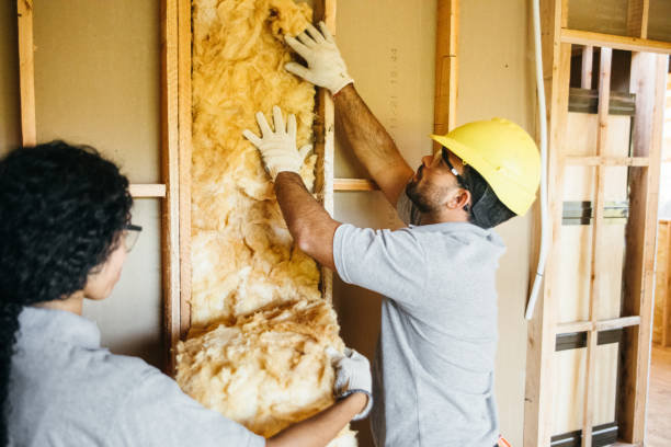 Types of Insulation We Offer in Ocean Pointe, HI